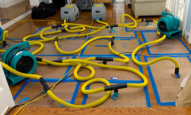 Professional Storm Water Damage Restoration technician working in Pleasant Ridge, MI