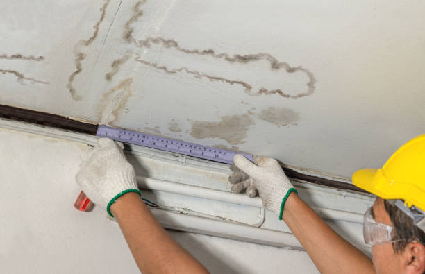 Affordable Water Damage Repair solutions in Pleasant Ridge, MI